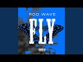 Fly