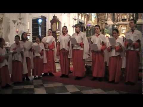 Si contrito-Venid, niños de E Matute Seises Catedral Cádiz