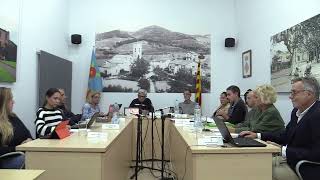 Ple extraordinari 28/10/2024