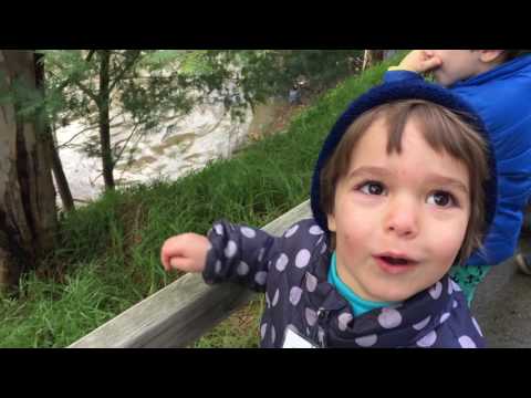 2016 GGAA Finalist: Learning, Teaching & Skills - University of Melbourne