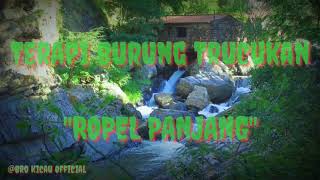 Download lagu Terapi burung trucukan | Gemericik air dan Ropel panjang durasi 1 jam non stop mp3