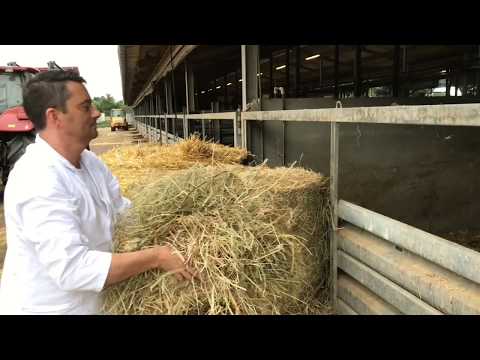 Metzgerei Birk -Oppenau