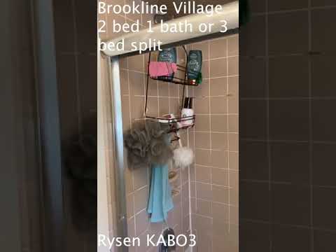 49 Boylston St. — Brookline Village