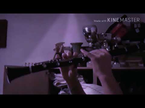 Pantera rosa freestyle clarinetto