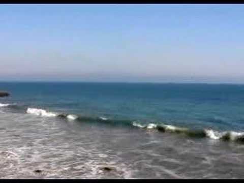 Trains To Brazil - Guillemots