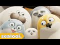 SEALOOK ⭐FULL EPISODES⭐ㅣSEALOOKㅣ90MIN Episodes Compilation