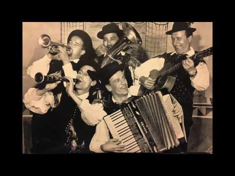 Ansambel bratov Avsenik - Ovčarski pastir