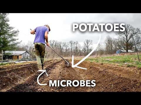 No-Till Potato Planting: The Permaculture Nerd's Guide
