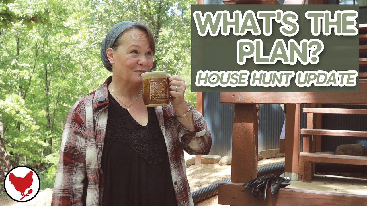 So What's the Plan? House Hunt Update