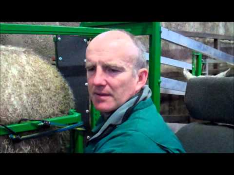 BCF Technology (now IMV imaging) sheep scanning video 4 - Identifying lamb with the Ovi-Scan