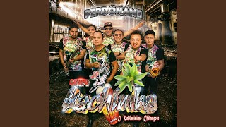 Download lagu Rasca Bonito mp3