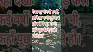 Download lagu Shairana Si Hai Zindagi mp3