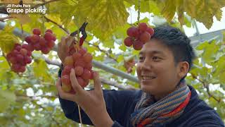 World class Sendai Foods 3 Perfect Days in Miyagi (en)