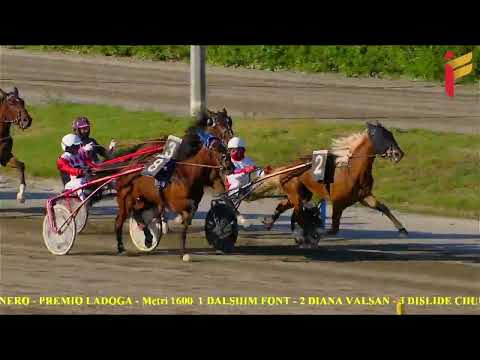 VI Corsa del 19 Aprile 2022 - 3 Anni - Metri 1600