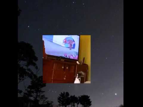 Yo te extrañare mi nino