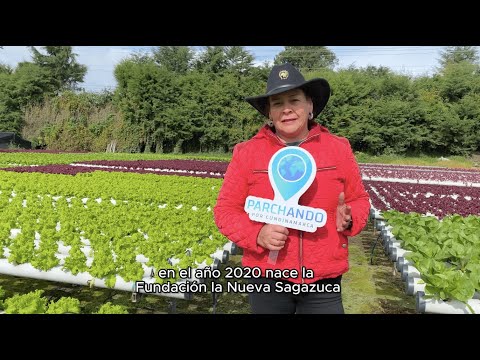 Madrid, Cundinamarca: Crónica del Epicentro del Progreso durante 40 Años de Metamorfosis Rural