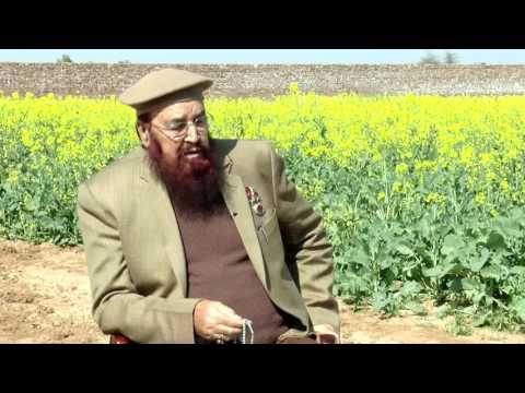 Watch Al-Murshid TV Program (Episode - 171) YouTube Video
