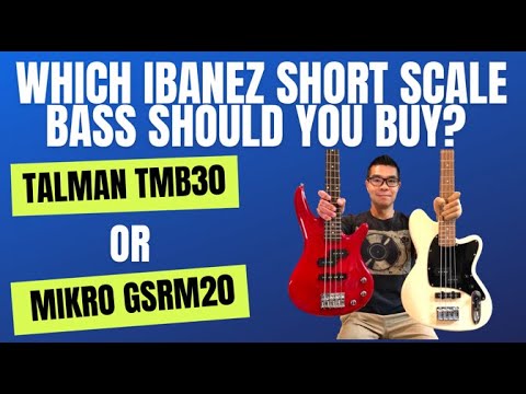 Ibanez Talman TMB30 vs. Mikro GSRM20. Which Ibanez short scale bass should you buy? A comparison