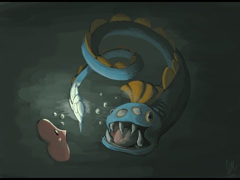 Hunting With Huntail