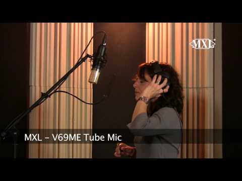 MXL V-69 Mogami Edition Tube Condenser Mic 2010s - Silver image 20