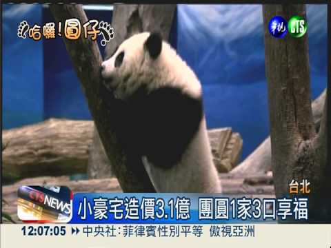 圓仔明見客! 入住3.1億小豪宅