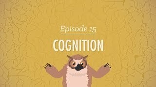 Cognition: How Your Mind Can Amaze and Betray You - Crash Course Psychology #15