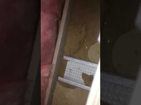 Leaking garage - mail leak how it drips through to garage cornice