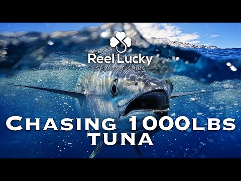 Reel Lucky - Episode 2 - Blue Buffaloes: Chasing 1,000lb Tuna