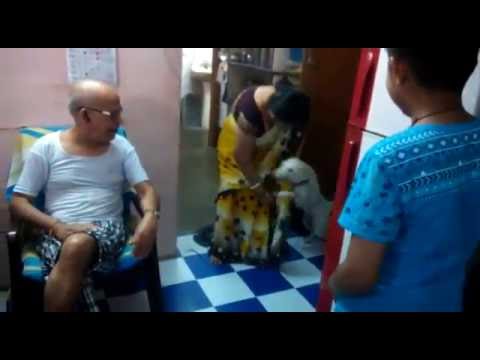 Doggi found after 5 days..reunion