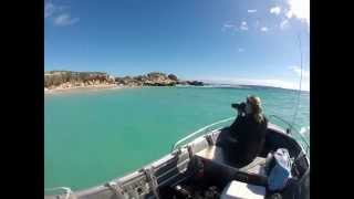 preview picture of video 'Swimming with Sea Lions, Jurien Bay, Western Australia, GoPro Diving'