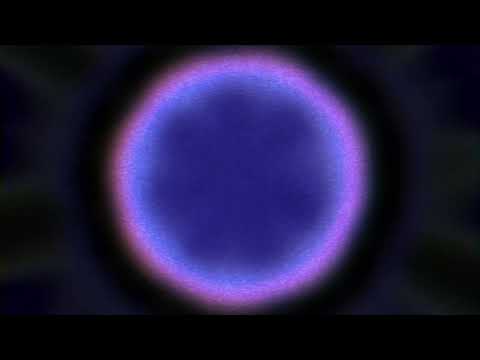 Ravenscoon - Velocity [OFFICIAL VISUALIZER]