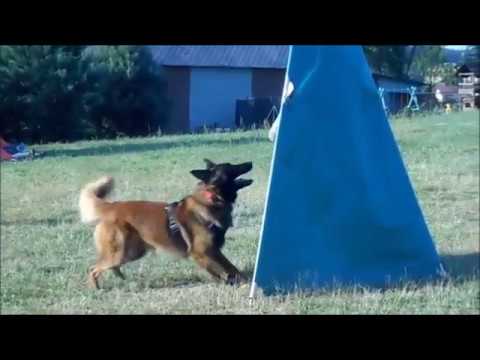 elementy obrony PP 2017 Domaniewice