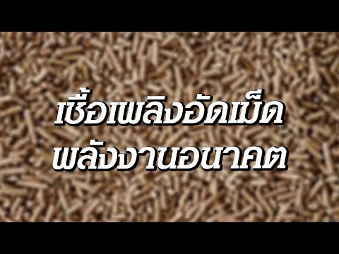 จาระบีครีมพื้นบ้านโรคสะเก็ดเงินตาม ครีมต้านเชื้อแบคทีเรียสำหรับการรักษาโรคสะเก็ดเงิน