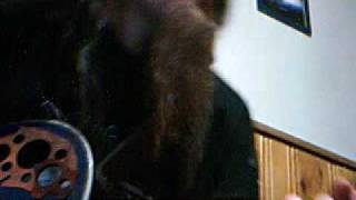 Matt Poelzer   The Birds Of The Air And The Flowers Of The Field   The Daredevil Christopher Wright Cover