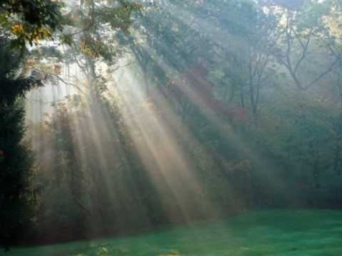 Tu Che Sei Parte Di Me - Pacifico feat G.Nannini