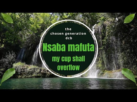 Nsaba Amafuta official lyrics video MP4