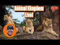LIVE A Chill Day At Animal Kingdom Pandora Safaris More At Walt Disney World Live