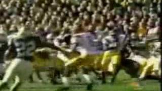 REGGIE BUSH- DO THE HEISMAN (lyrics in description)