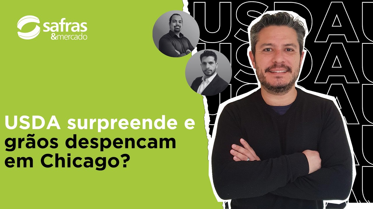Como os números do USDA pressionaram a soja, milho e trigo em Chicago? - Pós-USDA