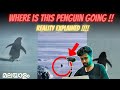 Why Did This Penguin Walk Away From The Ocean And Head Toward The Mountains MALAYALAM Inspiring