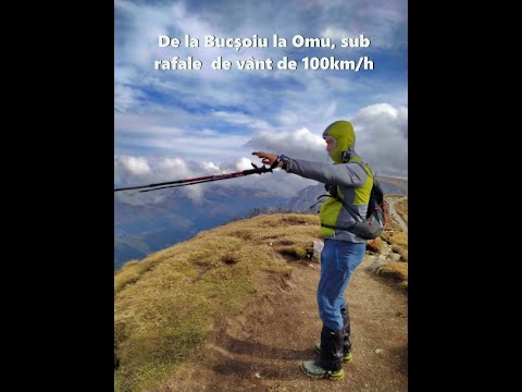 Creasta Balaurului (Bucșoiul Mic), nemarcat, Bucșoiu, Omu, Valea Cerbului