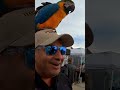 HILARIOUS At Gibtown Motorcycle Rally Sky Champion S POWAmoto Hat Gets An Unexpected Makeover