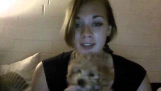 think of me (rosi golan)