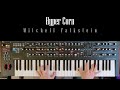 Mitchell Falkstein Hyper Corn
