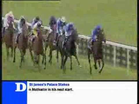 Shamardal - St James Palace