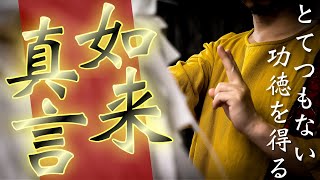 Download lagu 【秘呪 如来真言】仏の慈悲の光が人生を救済してあらゆる問題が消えてなくなります mp3 Download lagu 【秘呪 如来真言】仏の慈悲の光が人生を救済してあらゆる問題が消えてなくなります mp3