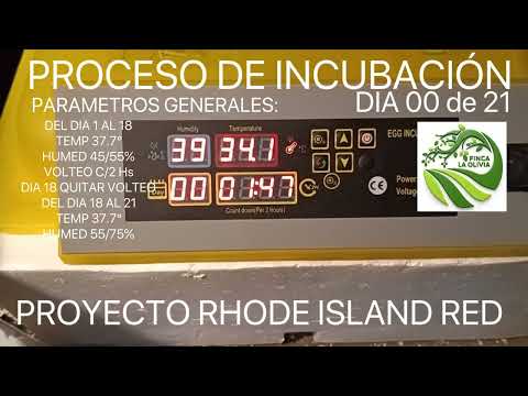 PROCESO DE INCUBACIÓN DIA 00/21 a 01/21
