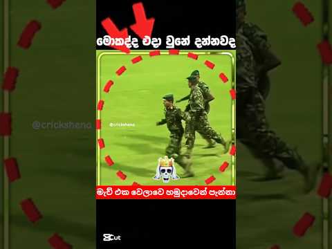 දන්නවද විස්තරේ 😵 #cricket #cricketshorts