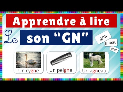 Vidéo 3