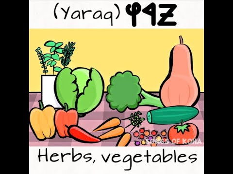 Vegetables - Learn Hebrew - For Children and Families